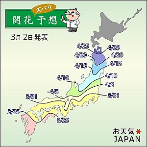 第4回桜の開花予想