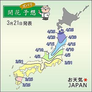 第5回桜の開花予想