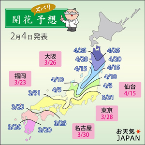 第2回桜の開花予想