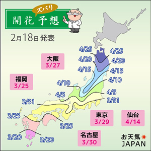 第3回桜の開花予想