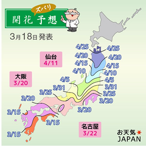 第5回桜の開花予想