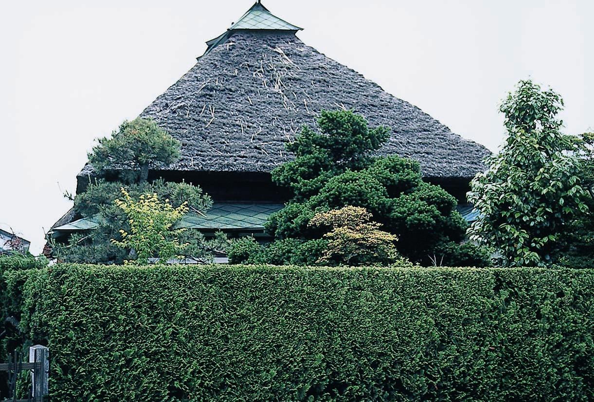 尾上サワラの生け垣のかおり風景