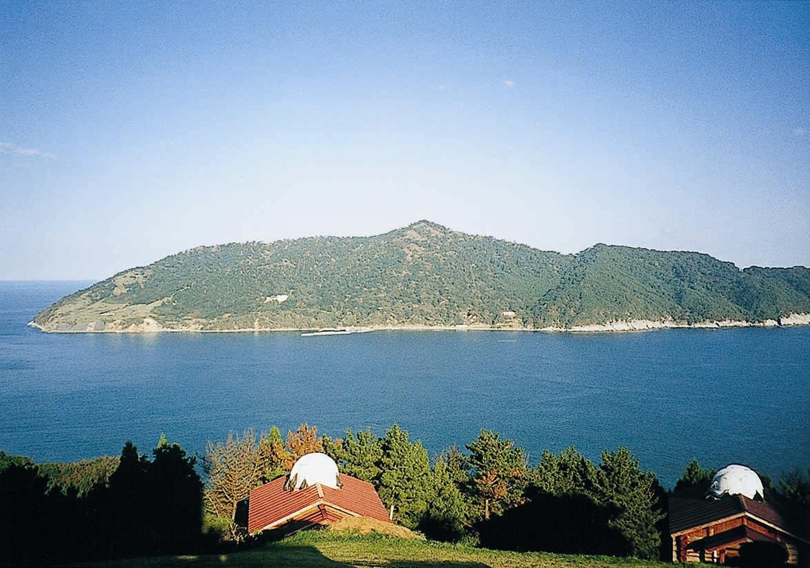 金華山の原生林と鹿のかおり風景