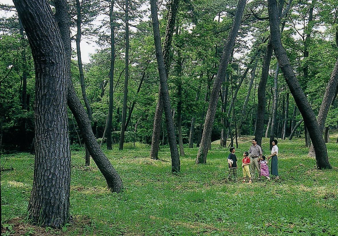 風の松原のかおり風景