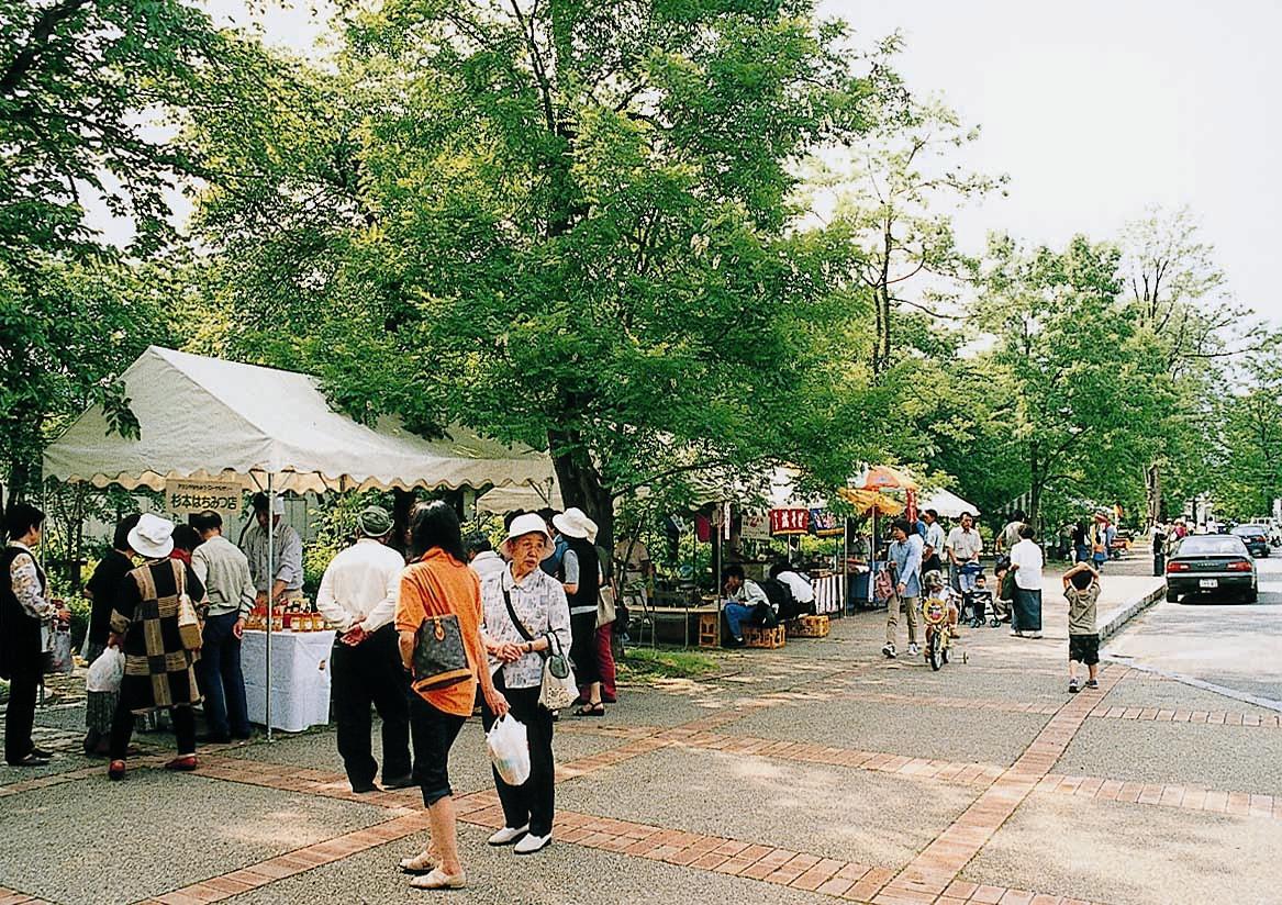 小坂町明治百年通りのアカシアのかおり風景