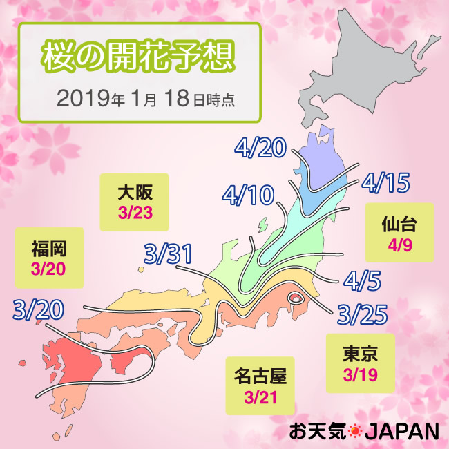 桜の開花予想