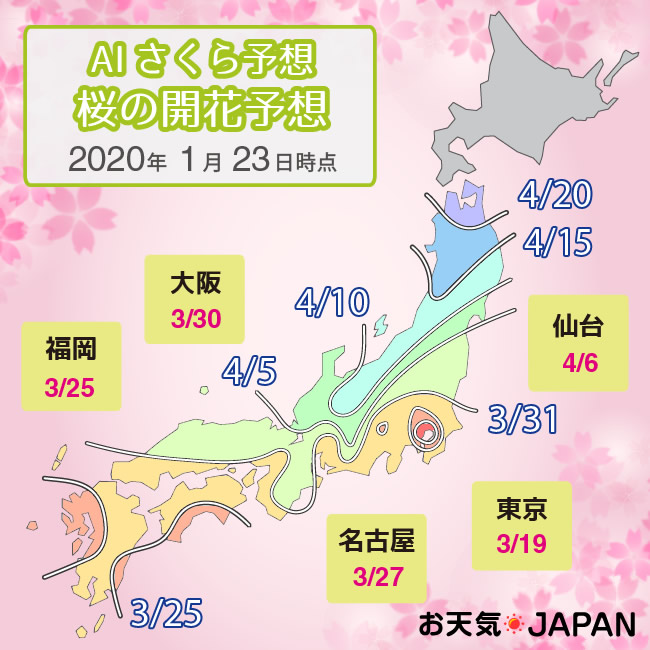 桜の開花予想