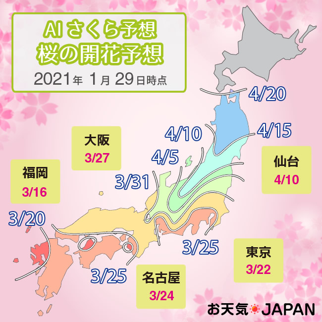 桜の開花予想