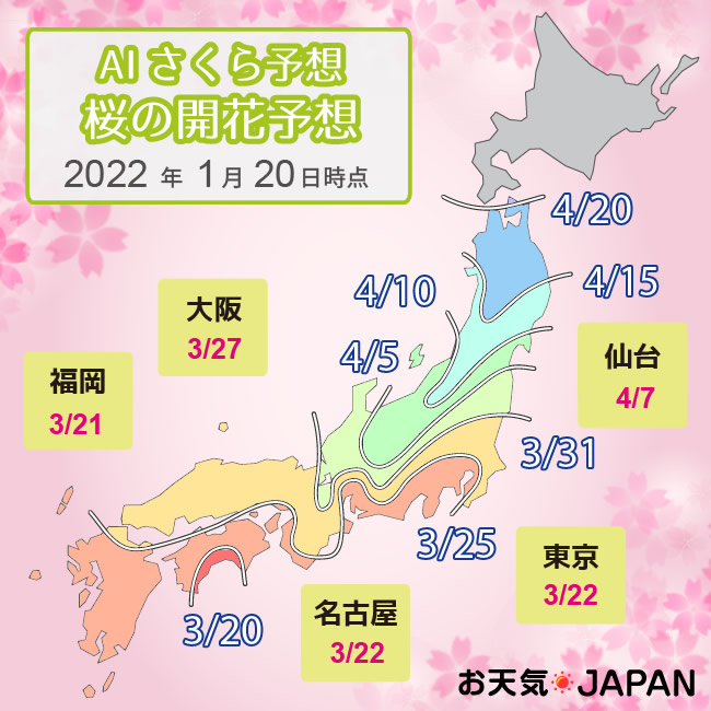 桜の開花予想