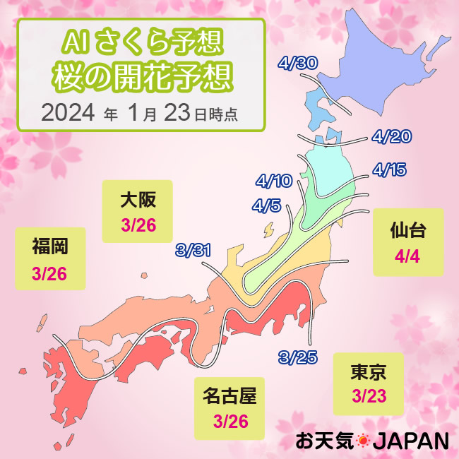 桜の開花予想