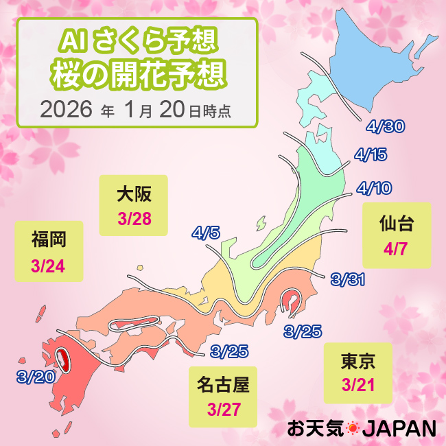 2026年の桜の開花･満開予想