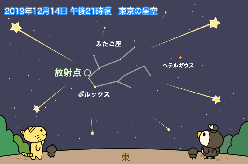 2019 流星 群